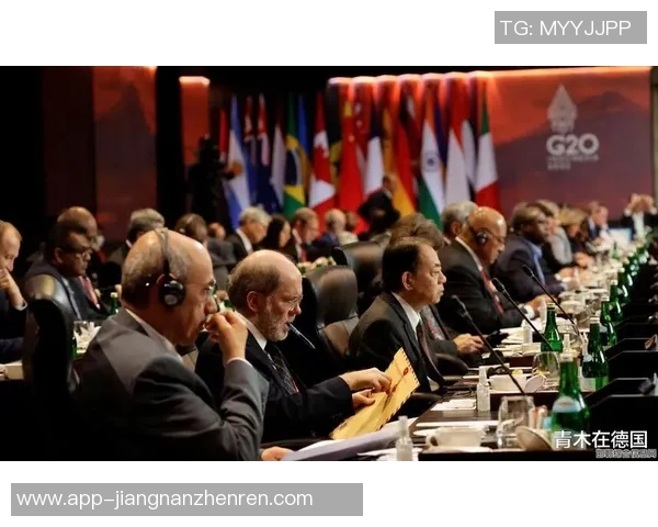 赖斯在国际关系中的新角色与影响力分析及其对未来局势的启示